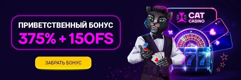cat casino